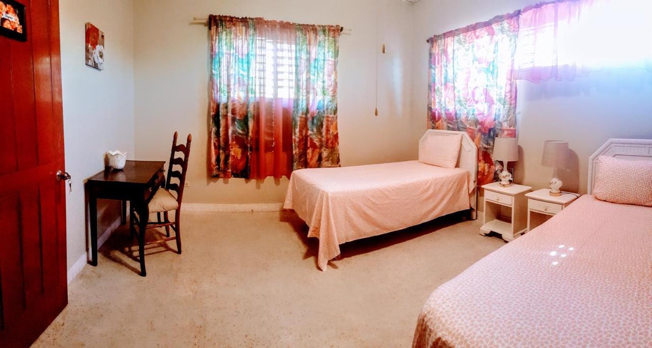 Hôtel Jacks Hill Tropical Arcadia à Kingston Extérieur photo
