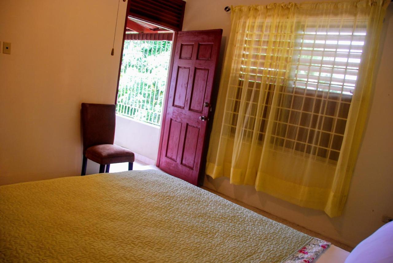 Hôtel Jacks Hill Tropical Arcadia à Kingston Extérieur photo